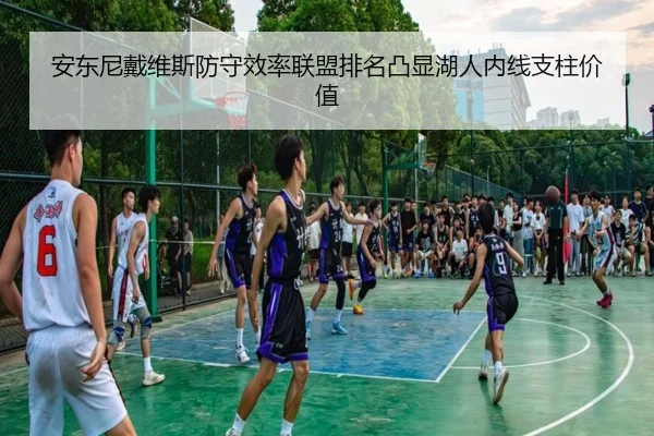 安东尼戴维斯防守效率联盟排名凸显湖人内线支柱价值