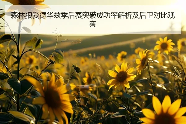 森林狼爱德华兹季后赛突破成功率解析及后卫对比观察