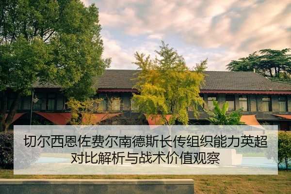 切尔西恩佐费尔南德斯长传组织能力英超对比解析与战术价值观察（leyu）