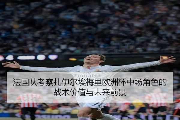 法国队考察扎伊尔埃梅里欧洲杯中场角色的战术价值与未来前景（leyu）